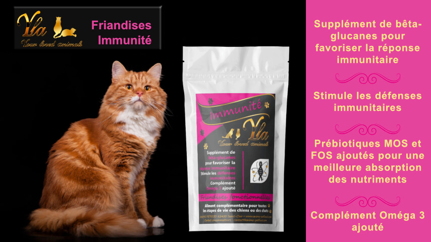 friandises pour chat sans céréale